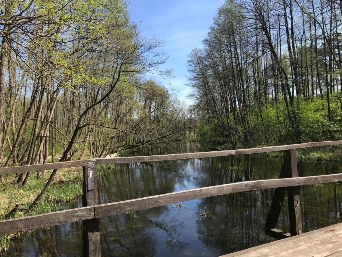 U Gosi I Piotra Villa Lubin  Kültér fotó