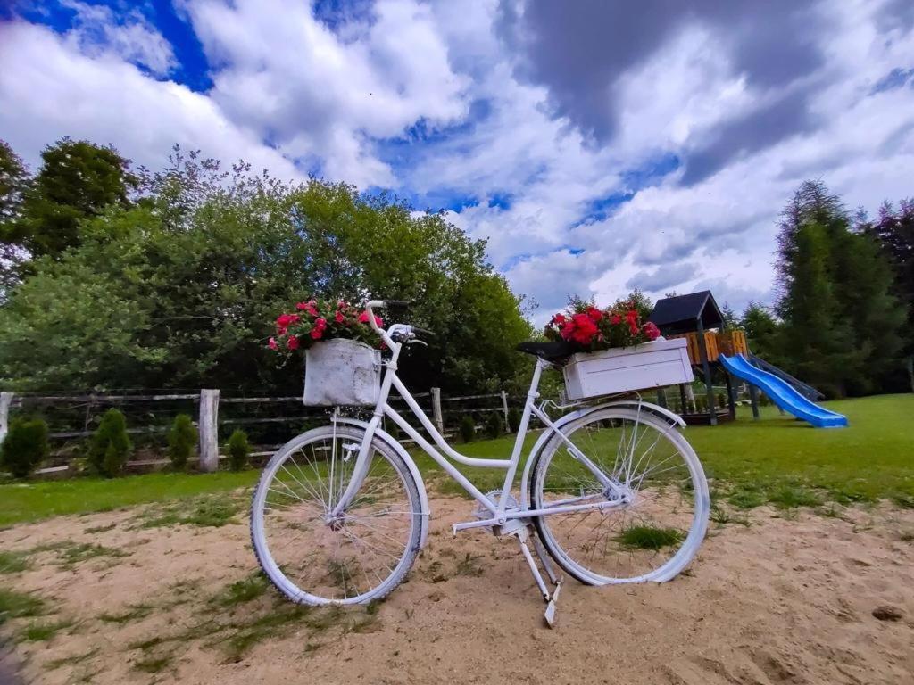 U Gosi I Piotra Villa Lubin  Kültér fotó